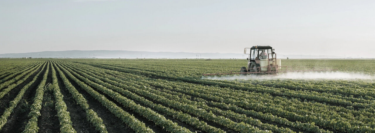 Fruit Attraction 2022
