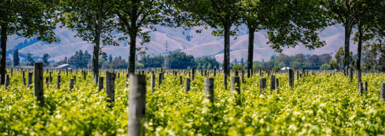 Salón Gourmets 2026