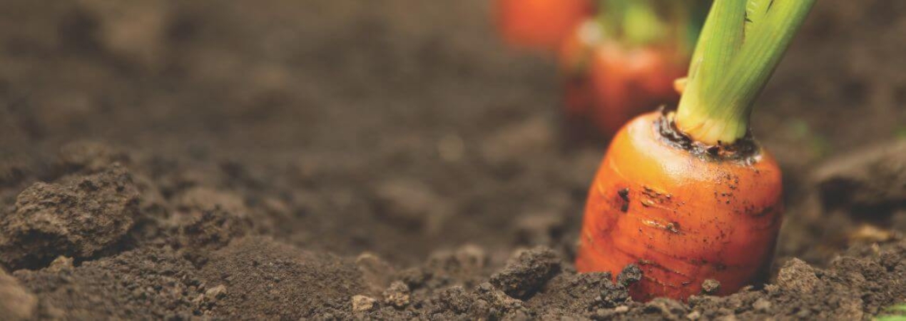 Fruit Attraction 2026