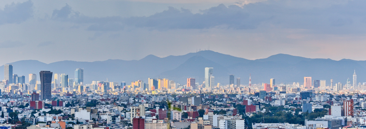 Crecimiento moderado y vulnerabilidad estructural en México
