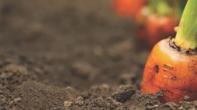 Fruit Attraction 2026