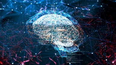 Crédito y Caución, Iberinform y ESIC ponen en marcha el Observatorio de Inteligencia Económica