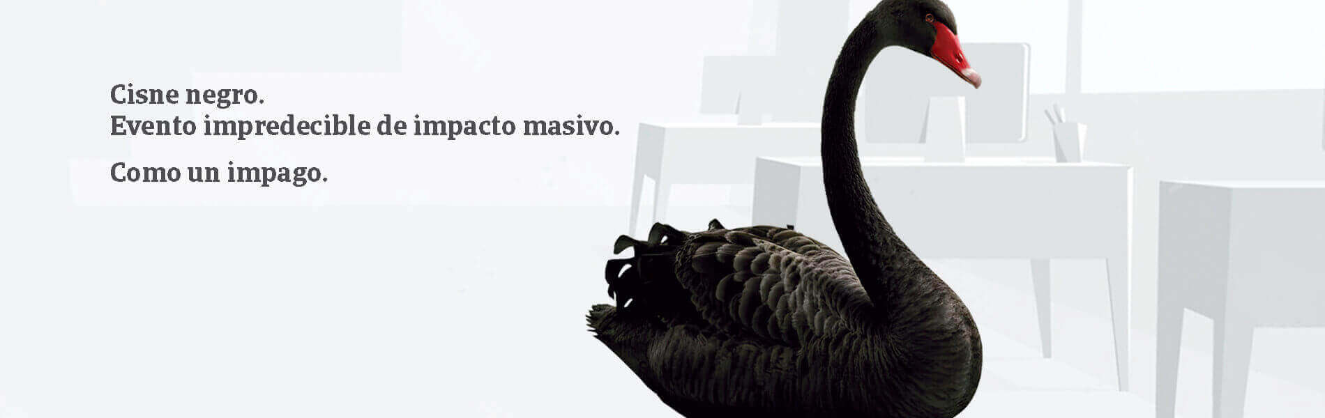 Cisne negro. Evento impredecible de impacto masivo. Como un impago. ¡Contacta con nosotros!