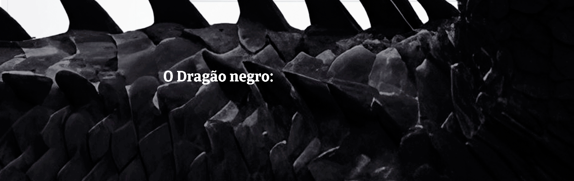 O Dragão negro: Uma ameaça catastófica. Como o risco de um incumprimento