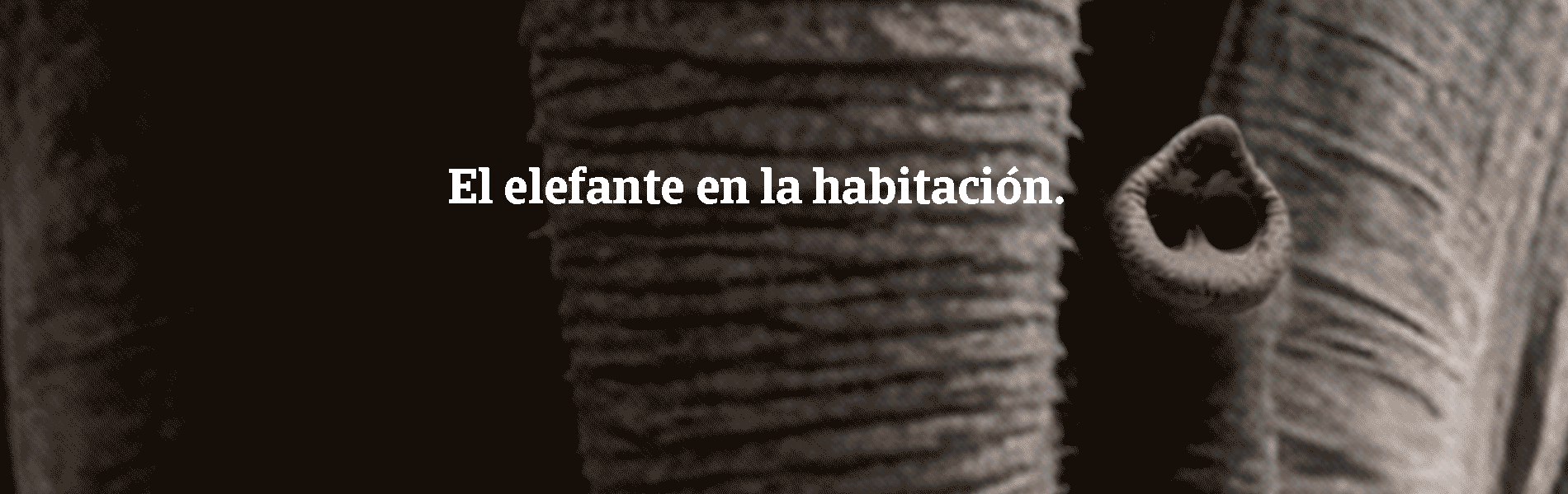 El elefante en la habitación. Es aquello de lo que no se habla. Como un impago - Contacta con nosotros